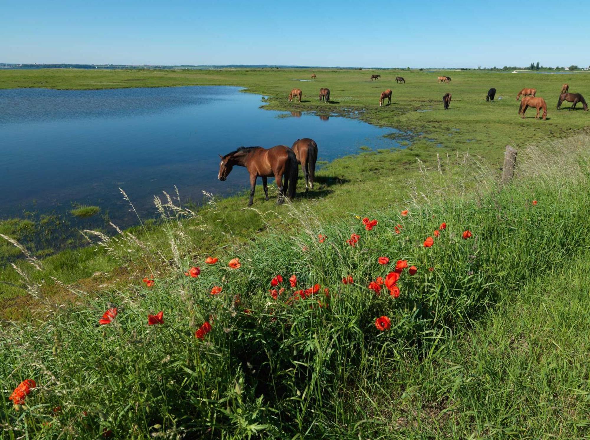 Ferienwohnungen Am Lotsenstieg Abendrot Poel Exterior foto